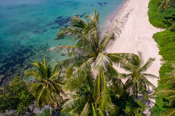 Fototapeta na wymiar Empty Nui beache and palms on sunny day. Ko Lanta, Krabi Province, Thailand.