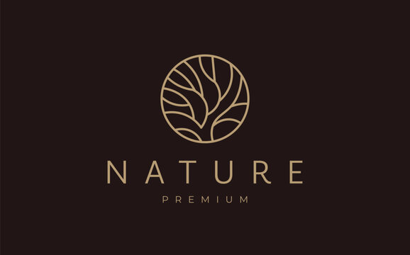 Nature circle tree vector illustration design. Abstract round outline plant with branch and leaves business logo.