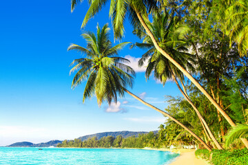 Plakat Beautiful tropical island sea beach landscape, turquoise ocean water, yellow sand, sun blue sky white cloud, green coconut palm tree leaves, paradise nature, summer holidays, vacation, tourism, travel