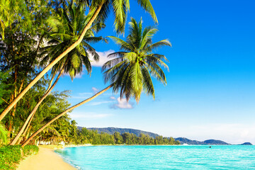 Beautiful tropical island sea beach landscape, turquoise ocean water, yellow sand, sun blue sky white cloud, green coconut palm tree leaves, paradise nature, summer holidays, vacation, tourism, travel