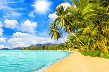 Beautiful tropical island sea beach landscape, turquoise ocean water, yellow sand, sun blue sky white cloud, green coconut palm tree leaves, paradise nature, summer holidays, vacation, tourism, travel