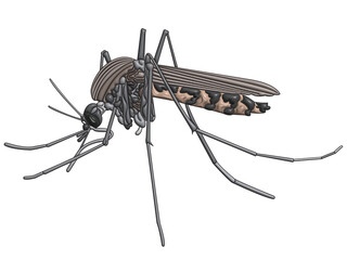 Mosquito in 3D rendering style.