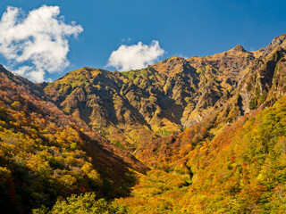 マチガ沢から望む谷川岳の紅葉