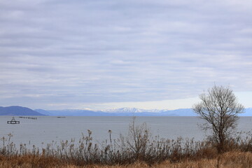 琵琶湖岸の冬景色