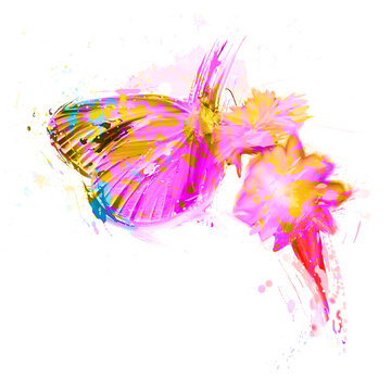 Watercolor Butterfly drawing, silhouette of a Butterfly, Watercolor Butterfly art, Butterfly, Png, Transparent