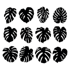 Monstera leaves silhouette for cutting, stencil templates set - 565515938