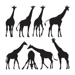 Giraffe silhouette objects cutting stencils templates set