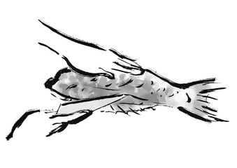 鯛をさばいているの手描き和風イラスト　白黒,モノクロ,単色, ベクター
