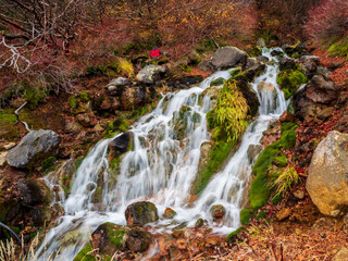 秋の乗鞍高原・位ヶ原山荘付近
