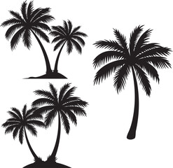 Palm Tree on white background - obrazy, fototapety, plakaty