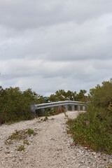 Fototapeta na wymiar Pathway over the bridge in a nature park