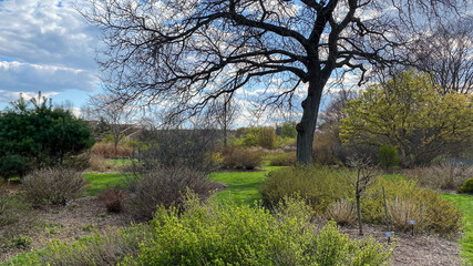 Spring day at the park
