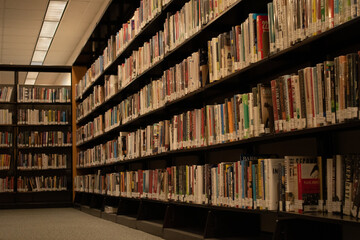library shelves with books