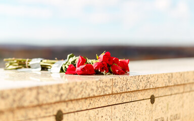 Bunch of red roses placed on marble stone wall at memorial tomb of mausoleum