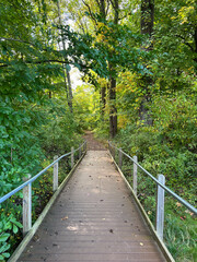 boardwalk path in the park  in the early fall