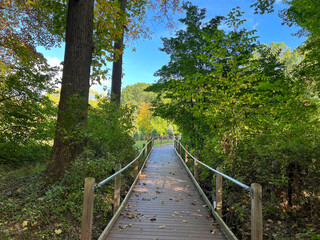 boardwalk path in the park  in the early fall