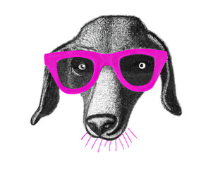dog in pink sunglasses on an isolated white background. pencil drawing style. Generative AI