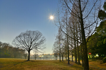 Obraz premium 満月の夜