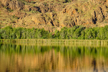 Afternoon sun highlighting the grasses trees and rocky hillside. Ord river Western Australia..