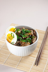 Gyudon is Japanese Beef Rice Bowl or Yakinikudon.
