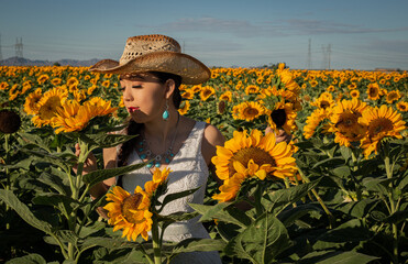 sunflower sunflowers field arizona nature mountain mountains mountainscape model indigenous...
