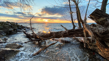 Sunset on beach of lake with fallen tree