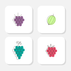 Four berry icons in line style