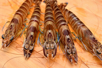 まな板の上の活車海老