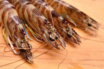 まな板の上の活車海老