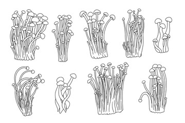 Simple line set of asian food. Enoki mushrooms is gourmet, medical, chinese nutrition. Vector graphic collection about healthy fungus. © Arhipteia
