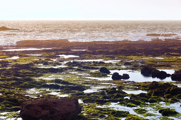 View of the volcanic shore of the Atlantic Ocean in the area of Essaouira in Morocco in the low tide time.