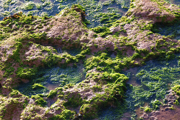 Surface of the volcanic shore of the Atlantic Ocean in the area of Essaouira in Morocco in the low tide time.