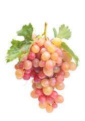 Bunch of grapes isolated 