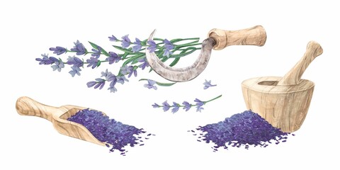 Wooden mortar, dried lavender flowers in a spoon, a sickle for cutting herbs. Decorative composition in Provence style. Cleaner production concept, home laboratory. Watercolor illustration.