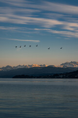Obraz na płótnie Canvas Sunset Lake Zurich