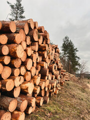 Heap firewood close-up. Pile of fresh fire wood prepared for winter