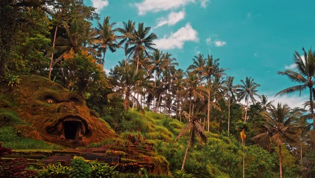 One of the most incredible place for travel in Bali Tegallalang rice terrace with scenery wooden bridge and coconut palm tree on nature background Bali, Indonesia 4K