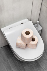 Toilet paper on closed lavatory pan. Close up.