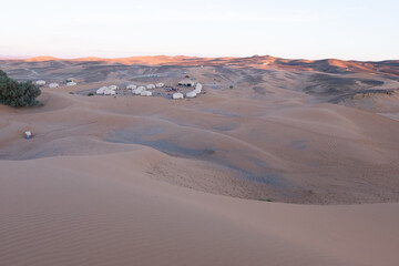 The vast orange dunes of the Sahara desert and its barren vegetation