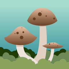 Lyophyllum decastes fried chicken mushroom vector illustration