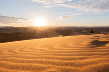 Obraz na płótnie Canvas The vast orange dunes of the Sahara desert and its barren vegetation