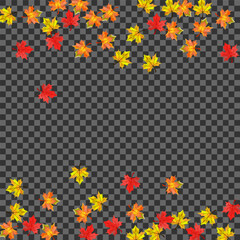 Orange Floral Background Transparent Vector. Leaf Abstract Texture. Golden Collection Leaves. September Foliage Template.