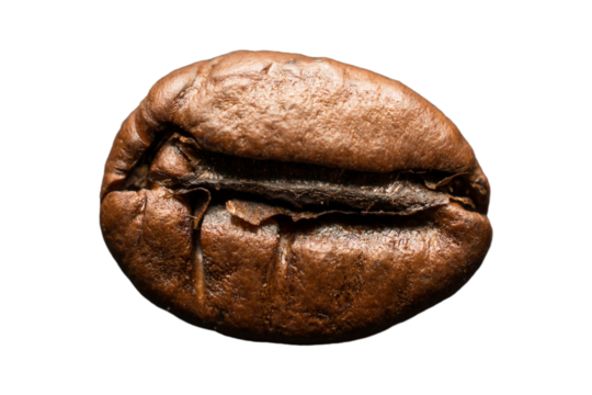 One coffee bean on isolated background, close up