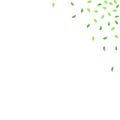 Greenish Leaves Background White Vector. Greenery Healthy Frame. Silhouette Design. Green Bio Illustration. Plant Peaceful.