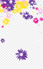 Obraz na płótnie Canvas Blue Leaf Background Transparent Vector. Floral Beauty Template. Yellow Flower Cute. Flourishes Design. Wrap Multi-colored Daisy.