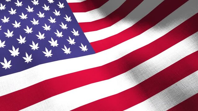 Cannabis waving flag with USA flag. Seamless cgi animation highly detailed fabric texture in cinematic slow motion 3d background of Marijuana leave.  Cannabis legalization concept.