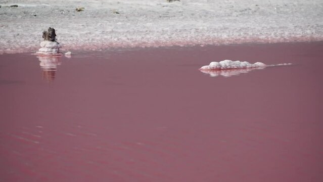 Pink salt crystals. Natural pink salt lake texture. Salt mining. Extremely salty pink lake, colored by microalgae with crystalline salt depositions