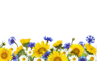 Zelfklevend Fotobehang Sunflowers, daisy flowers and knapweeds in a border arrangement isolated on white or transparent background © Ortis