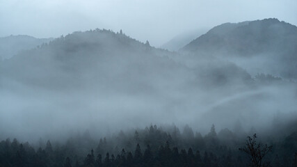 雨に煙る山