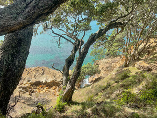 Turquoise color sea seeing through trees, Waikato, New Zealand.